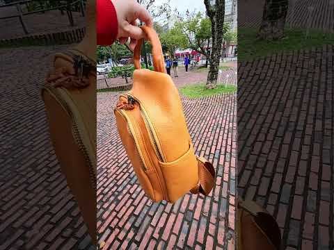 百搭後背包--(有影片)