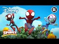 Spidey | Het Spidey Team ?️ | Disney Channel NL