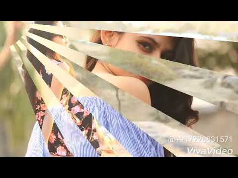 happy birthday to jaimini