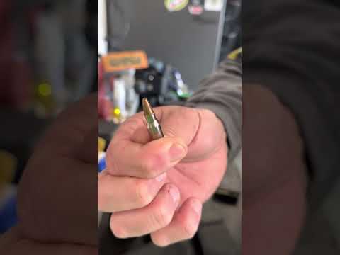 Top hunting bullets and loads for your AR-15 .223 rifle. #rifle #ar15 #hunting #hoghunting