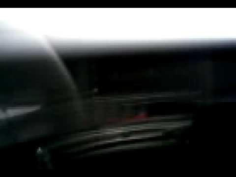 Małpa jeździ autkiem Trzciel