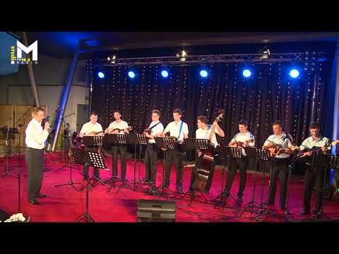 Domagoj Madić uz TS Frikovi - Hator čukovski (festival Kre Mure i Drove, Prelog 2016.)