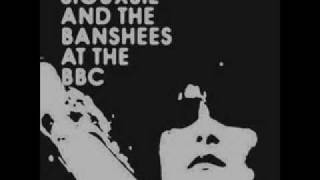 Siouxsie and the Banshees - Skin (live at Royal Albert Hall 1988)