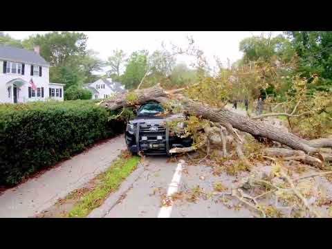 09-16-2023 Cohasset, MA - Huge Tree Falls & Crushes Police Cruiser - Hurricane Lee - High Winds