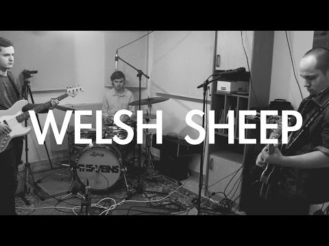 Welsh Sheep - Live From The Basement - The Veins