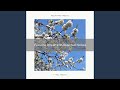 Soothing Brownian Computational Noise Moment Arrived