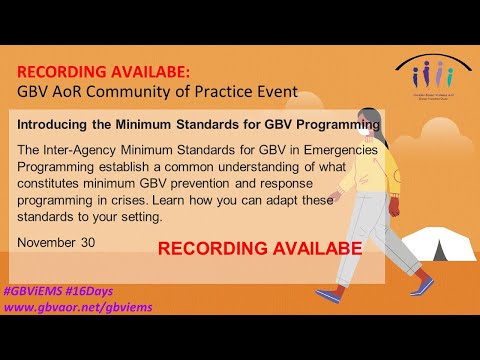 Introducing the Minimum Standards for GBV Programming