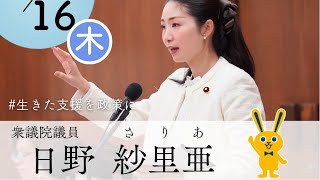 2026.4.16.国民民主党日野紗里亜衆議院議員の地こデジ特別委員会質疑
