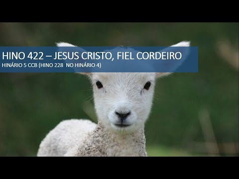 HINO 422 - HINÁRIO 5 - JESUS CRISTO, FIEL CORDEIRO