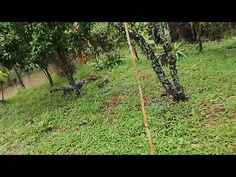 Crecidas de los ríos río colorado tucuman