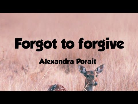 Forgot to forgive-Alex Porat(Lyrics Video)