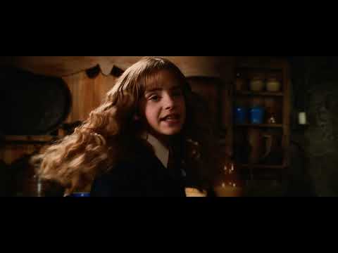 Sang de bourbe - Harry Potter 2 et la Chambre des secrets