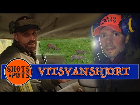 VAKJAKT - Lubbe och Danyel vakar på vitsvanshjort