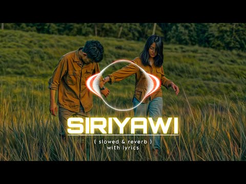 Mage siriyawi dagakari ( මගෙ සිරියාවි ) #පැරණි ගීත #centigradz #viral #trend #dinomzone