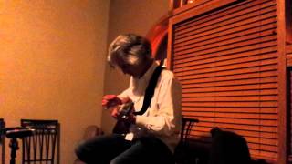 Bob Walkenhorst (of The Rainmakers) - We Walk the Levee - House Concert, Appleton, WI 4-11-2014