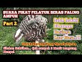 SUARA PIKAT BURUNG PELATUK BERAS TERBARU AMPUH MENGATASI BURUNG YANG SUSAH TURUN