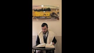 כלל ד' חלק א' | לספר דבר שבשבילי הוא לא נחשב לגנאי | רמת כשרות, רמה רוחנית, דבר מענפי המצוות
