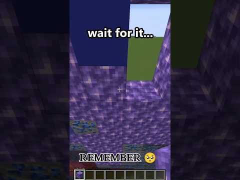 "Unbelievable! Minecraft's Mind-Blowing Past Life Feature 😱" #Shorts