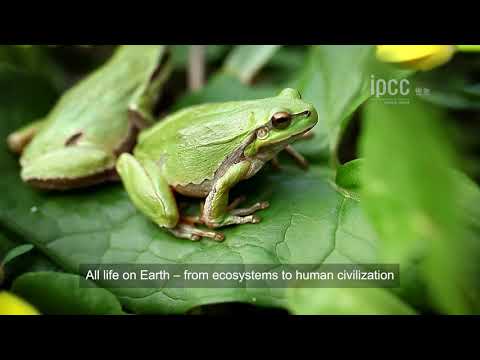 Climate Change 2022  Impacts, Adaptation & Vulnerability