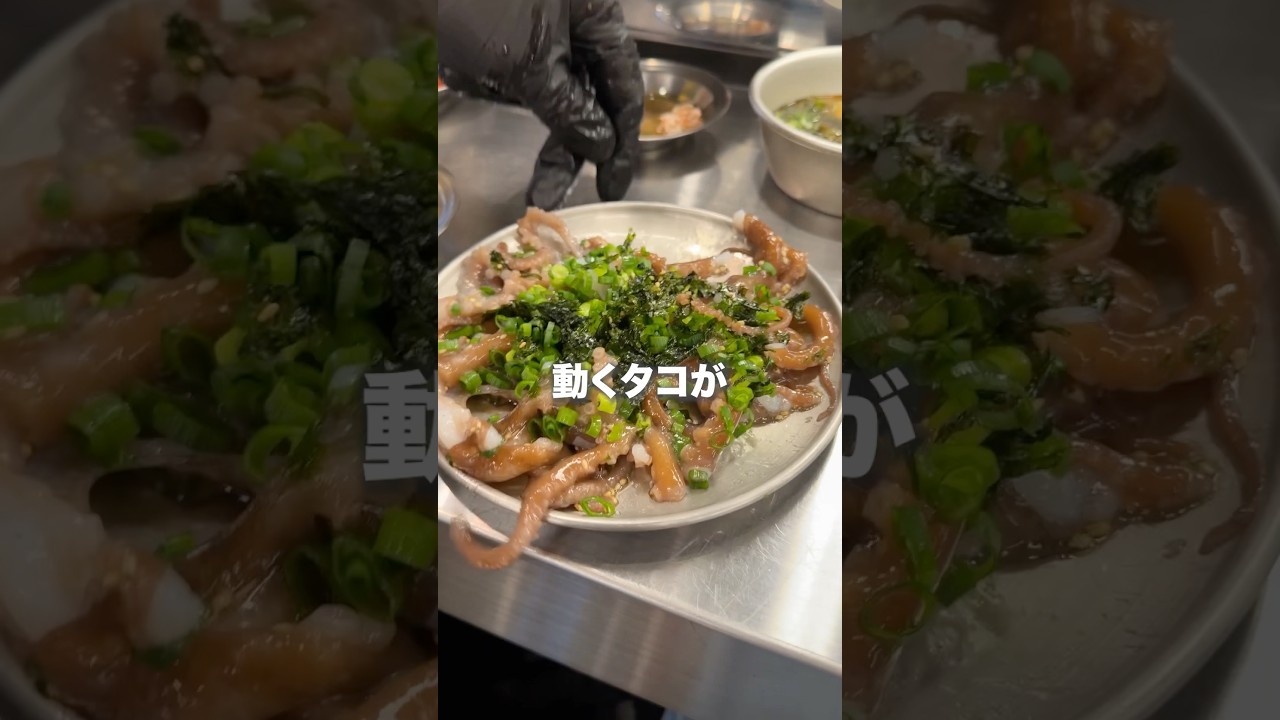 動くタコが食べられる韓国料理の人気店