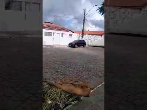 Minha linda Terra Natal Itamira distrito de Aporá Bahia ❤️❤️🌺🌹🌺