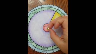 Mitosis Interactive Notebook Mitosis Interactive Notebook