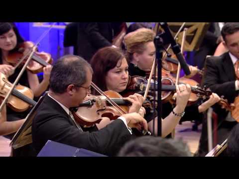 Bucharest Chamber Orchestra Ion Voicu, Mădălin Voicu (part 2) | George Enescu Festival 2015