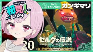 そうだゴロンシティ、逝こう。JR東海みたいな九州の蛮族｜シリーズ完全初見【ゼルダの伝説 ティアーズ オブ ザ キングダム｜ティアキン｜TotK】#20