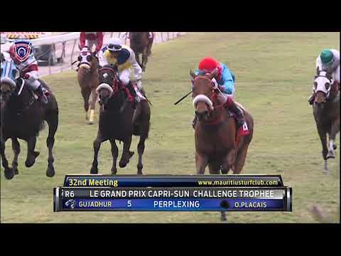 Winners of the day - 32nd Meeting 2019 Season