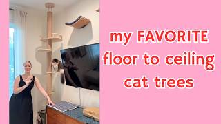 I got 3 AMAZING Bedoo floor to ceiling cat trees - up to 119 inches!