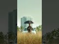 Kabir Singh Car Romance Scene Youtubeshorts Intags Kabirsingh Romance Shorts