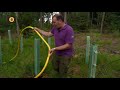 Boompjes in het Leenderbos krijgen extra water deze droge dagen
