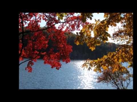 Деси Добрева и Любо Киров - В рози от мъгла (Among roses of fog)