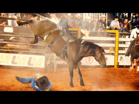 🔴 (FINAL EM CUTIANO) Rodeio de PEDRANÓPOLIS-SP 2023