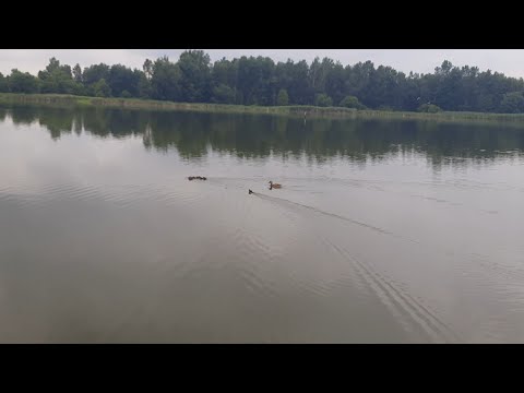 Szybki wypad na ryby. 734 Bocianie Gniazdo @slawofish