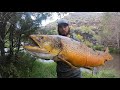 BIGGEST FISH I VE EVER SEEN State Record Tiger Trout
