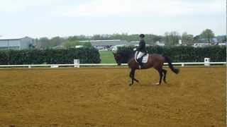 Video von Wapiti A
