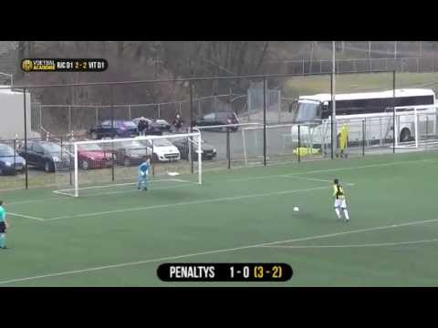 Samenvatting RJC VIT