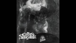 CULTUS SANGUINE  Cultus Sanguine