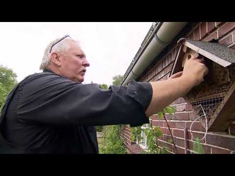 [HD] Der XXL-Ostfriese - Auf den ersten Blick - unterwegs mit Knochenbrecher Tamme Hanken (Doku)