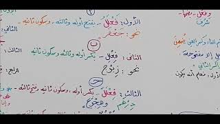 شرح ابن عقيل ( 920-925 ) 194 image