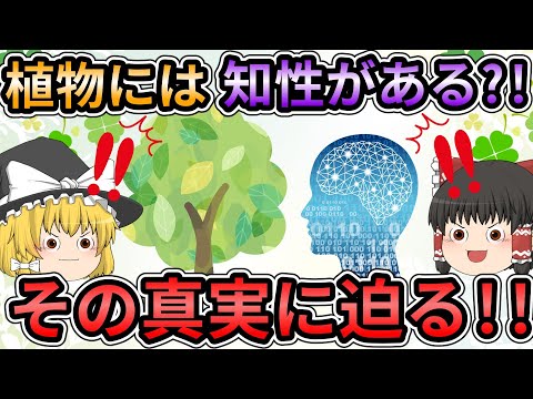 貪欲とうまく戦う 植物