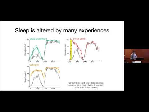 BRI Joint Seminar in Neuroscience - Jeff Donlea, Ph.D.