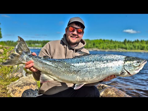 LOHTA TORNIONJOELTA - KALASSA JUHANNUKSENA