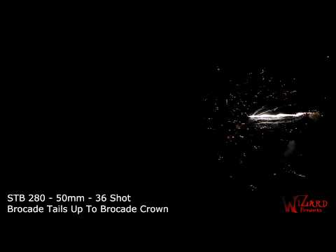 12. STB280-40mm-36 shot- Brocade Tails Up To Brocade Crown