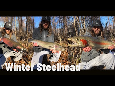Crazy Shore ACTION for Winter STEELHEAD and COHO-- Lake Michigan Fishing 2020