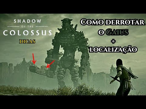 #03 SHADOW OF THE COLOSSUS - Localização e como derrotar o 3° Colosso