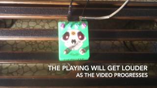 Fuzzrocious Afterlife on bass