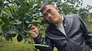 Download lagu Finally, CEO Thinh Found Tu Diep — What Happened Next - EP16 mp3 Download lagu Finally, CEO Thinh Found Tu Diep — What Happened Next - EP16 mp3