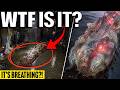 Something BIZARRE Was Found Alive... Nobody Can Explain What It Is! (Strange Sightings 2026)